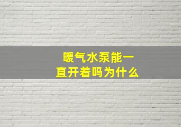 暖气水泵能一直开着吗为什么