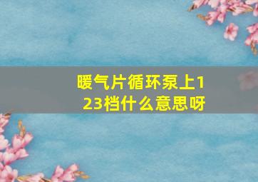 暖气片循环泵上123档什么意思呀