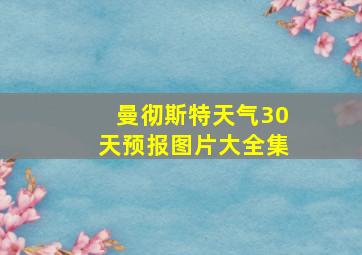 曼彻斯特天气30天预报图片大全集