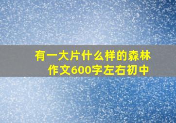 有一大片什么样的森林作文600字左右初中