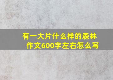 有一大片什么样的森林作文600字左右怎么写