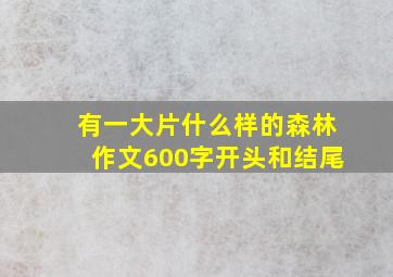 有一大片什么样的森林作文600字开头和结尾