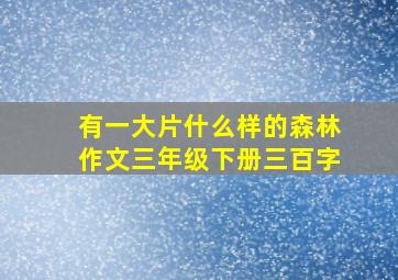 有一大片什么样的森林作文三年级下册三百字