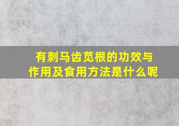 有刺马齿苋根的功效与作用及食用方法是什么呢