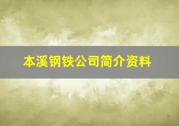 本溪钢铁公司简介资料