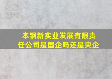 本钢新实业发展有限责任公司是国企吗还是央企