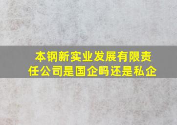 本钢新实业发展有限责任公司是国企吗还是私企