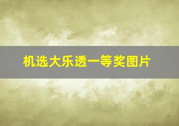 机选大乐透一等奖图片