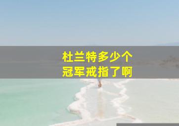 杜兰特多少个冠军戒指了啊