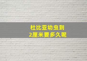 杜比亚幼虫到2厘米要多久呢