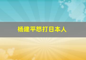 杨建平怒打日本人