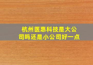 杭州医惠科技是大公司吗还是小公司好一点