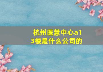 杭州医慧中心a13楼是什么公司的