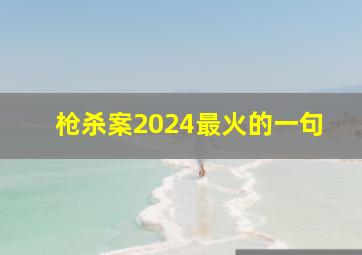 枪杀案2024最火的一句