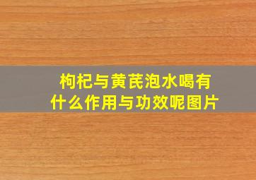 枸杞与黄芪泡水喝有什么作用与功效呢图片