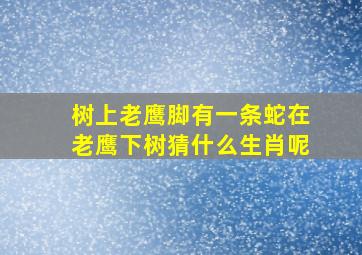 树上老鹰脚有一条蛇在老鹰下树猜什么生肖呢