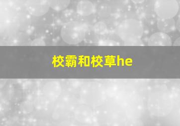 校霸和校草he