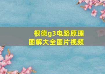 根德g3电路原理图解大全图片视频