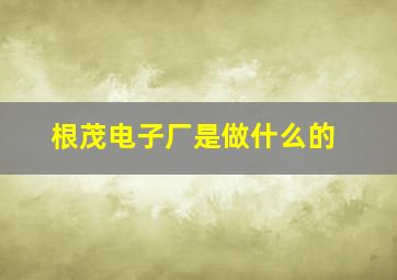 根茂电子厂是做什么的