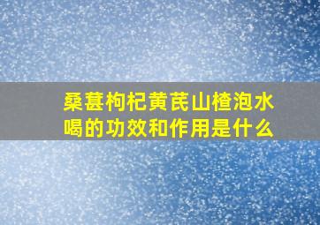 桑葚枸杞黄芪山楂泡水喝的功效和作用是什么