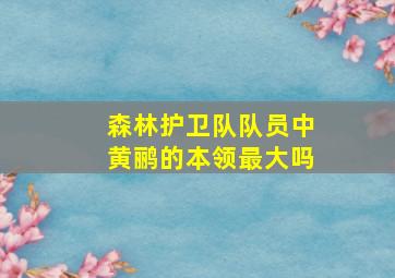 森林护卫队队员中黄鹂的本领最大吗