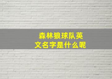 森林狼球队英文名字是什么呢