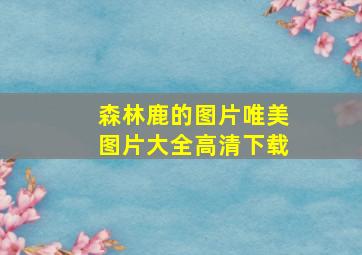 森林鹿的图片唯美图片大全高清下载