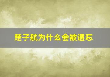 楚子航为什么会被遗忘