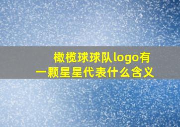 橄榄球球队logo有一颗星星代表什么含义