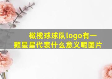 橄榄球球队logo有一颗星星代表什么意义呢图片