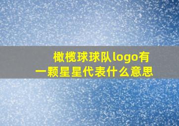 橄榄球球队logo有一颗星星代表什么意思