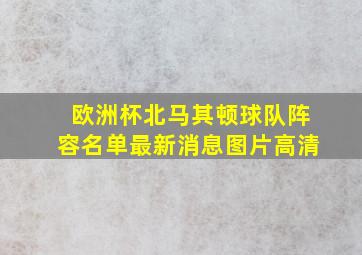 欧洲杯北马其顿球队阵容名单最新消息图片高清