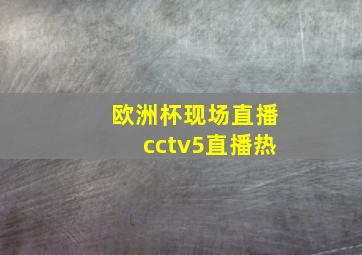 欧洲杯现场直播cctv5直播热