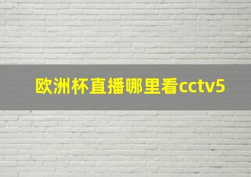 欧洲杯直播哪里看cctv5