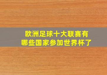 欧洲足球十大联赛有哪些国家参加世界杯了