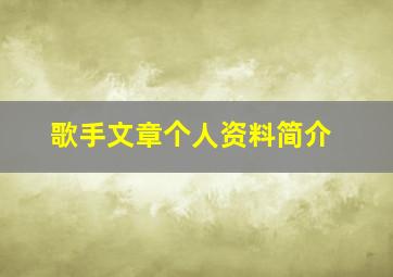 歌手文章个人资料简介