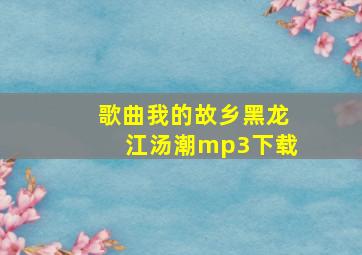 歌曲我的故乡黑龙江汤潮mp3下载