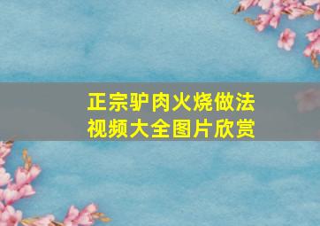 正宗驴肉火烧做法视频大全图片欣赏