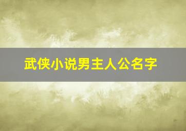 武侠小说男主人公名字