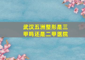 武汉五洲整形是三甲吗还是二甲医院