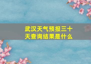 武汉天气预报三十天查询结果是什么