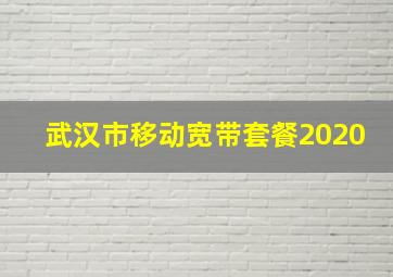 武汉市移动宽带套餐2020