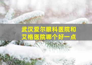 武汉爱尔眼科医院和艾格医院哪个好一点