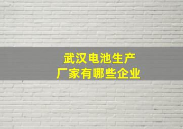 武汉电池生产厂家有哪些企业