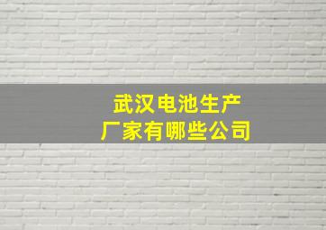 武汉电池生产厂家有哪些公司