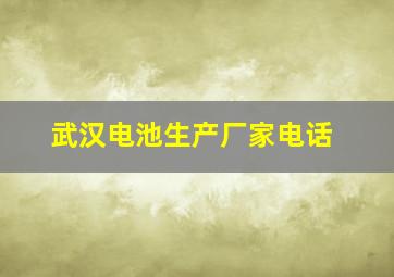 武汉电池生产厂家电话