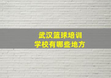 武汉篮球培训学校有哪些地方