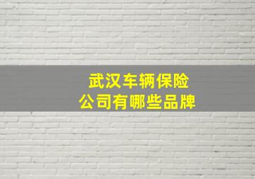 武汉车辆保险公司有哪些品牌