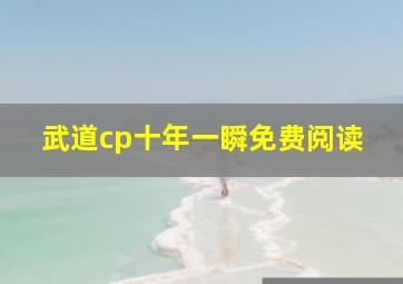 武道cp十年一瞬免费阅读