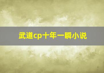 武道cp十年一瞬小说